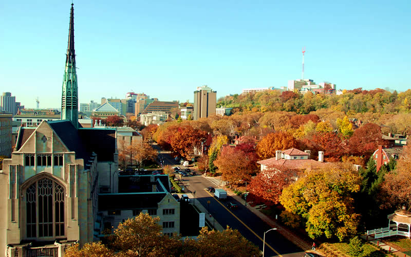Rooftop view in autumn